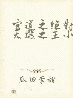 官道之绝对权力天选之主小说免费看