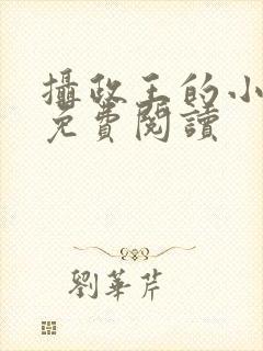 摄政王的小闲妻免费阅读