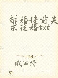 离婚后前夫哭着求复婚txt
