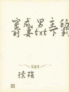 穿成男主的炮灰前妻txt下载