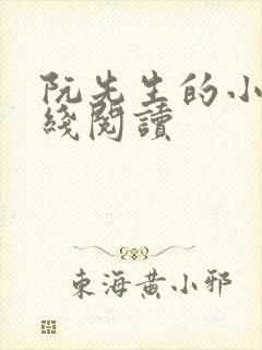 阮先生的小说在线阅读