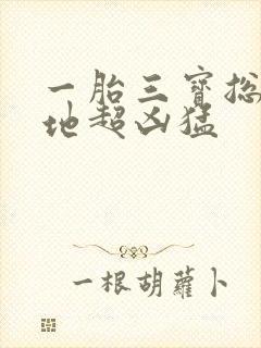 一胎三宝总裁爹地超凶猛