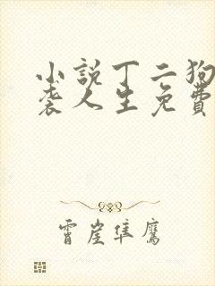 小说丁二狗的逆袭人生免费阅读封面