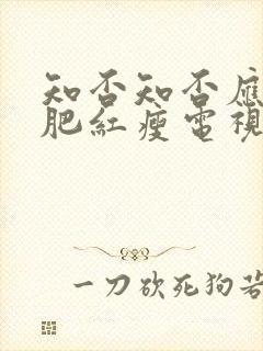 知否知否应是绿肥红瘦电视剧在线观看免费