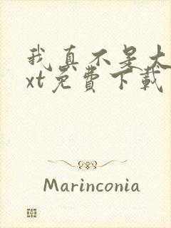 我真不是大佬txt免费下载封面