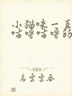 小猫咪一直发出咕噜咕噜的声音