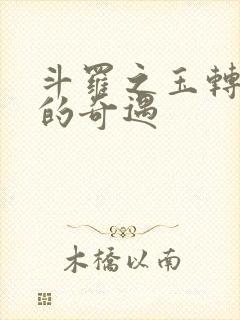 斗罗之玉转不乐的奇遇