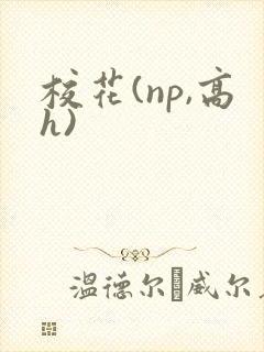 校花(np,高h)