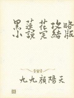 黑莲花攻略手册小说完结版封面