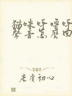 猫咪呼噜呼噜的声音怎么回事封面