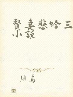 贤妻悲吟三部曲小说