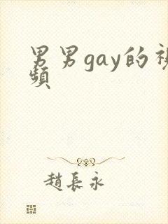 男男gay的视频