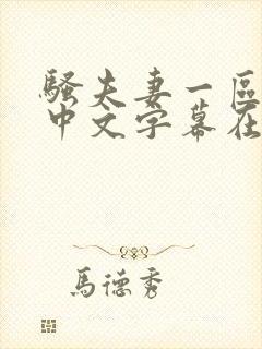 骚夫妻一区二区中文字幕在线封面