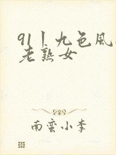 91丨九色风韵老熟女封面