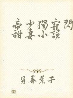 帝少独宠闪婚小甜妻小说