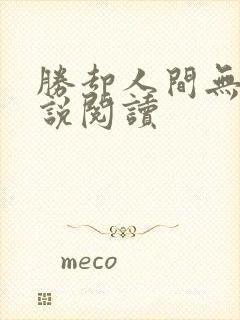 胜却人间无数小说阅读