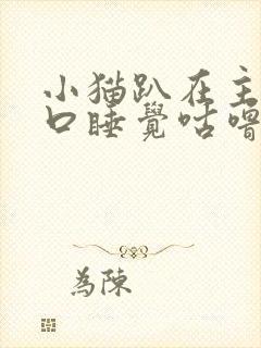 小猫趴在主人胸口睡觉咕噜咕噜叫