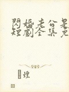 闪婚老公是总裁短剧全集免费看