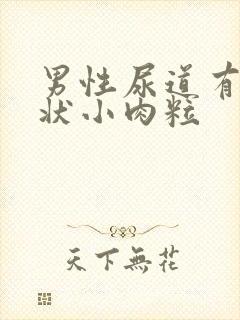 男性尿道有米粒状小肉粒