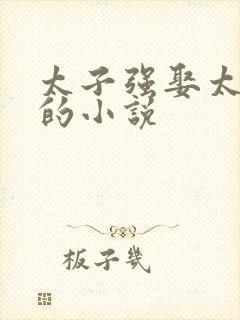 太子强娶太子妃的小说封面