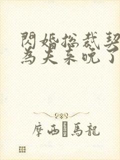 闪婚总裁契约妻为夫来晚了