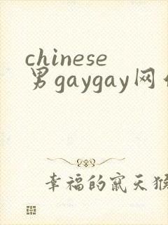 chinese男gaygay网站