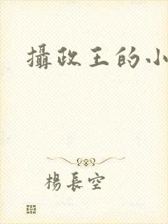 摄政王的小闲妻