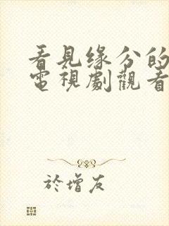 看见缘分的少女电视剧观看全集