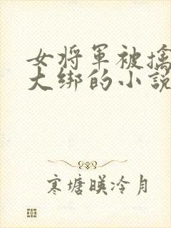 女将军被擒五花大绑的小说