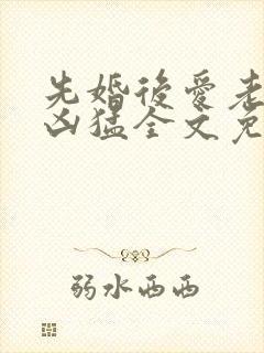 先婚后爱老公很凶猛全文免费