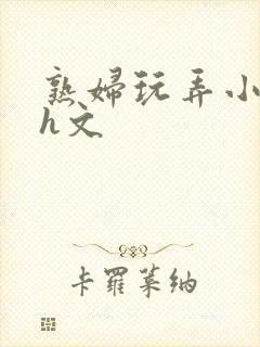 熟妇玩弄小太正h文封面