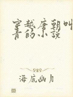 穿越唐朝叫秦长青的小说