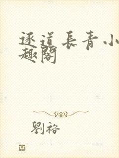 逐道长青小说笔趣阁封面