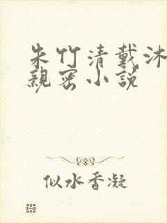 朱竹清戴沐白的亲密小说封面