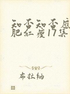 知否知否应是绿肥红瘦17集