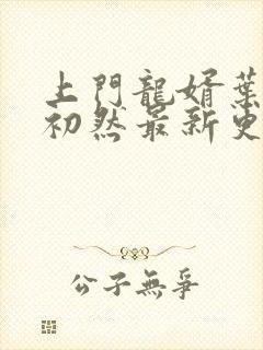 上门龙婿叶辰萧初然最新更新