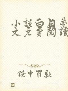 小说白日梦我全文免费阅读