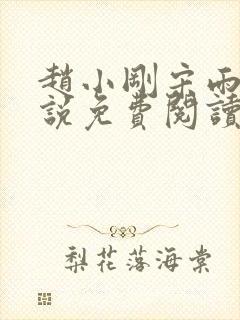 赵小刚宋雨晴小说免费阅读笔趣阁封面