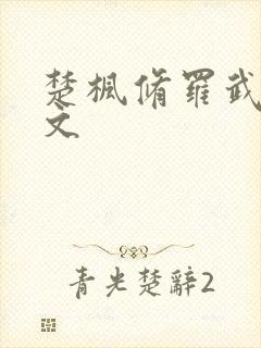 楚枫修罗武神全文