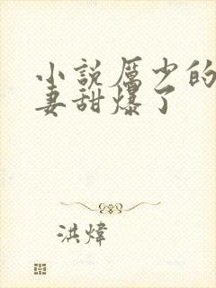 小说厉少的小娇妻甜爆了