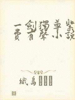 一剑独尊紫襟免费有声小说