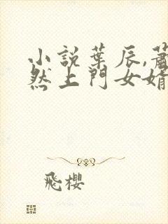 小说叶辰,萧初然上门女婿