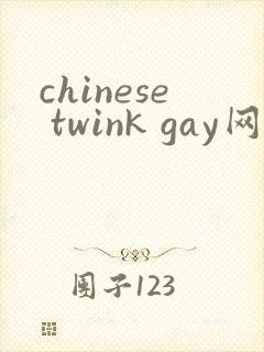 chinese twink gay网站