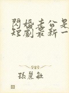 闪婚老公是总裁短剧最新一集