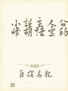 小说主人公叫秦峰胡佳云的小说