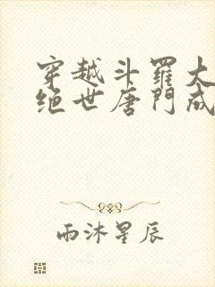 穿越斗罗大陆2绝世唐门成为霍雨浩的小说