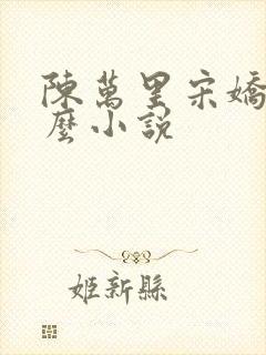 陈万里宋娇娇什么小说