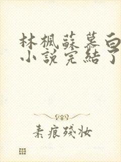 林枫苏慕白穿越小说完结了吗怎么看