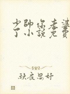 少帅你老婆又跑了小说免费阅读