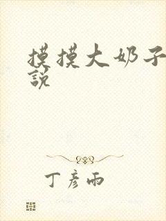 摸摸大奶子的小说封面